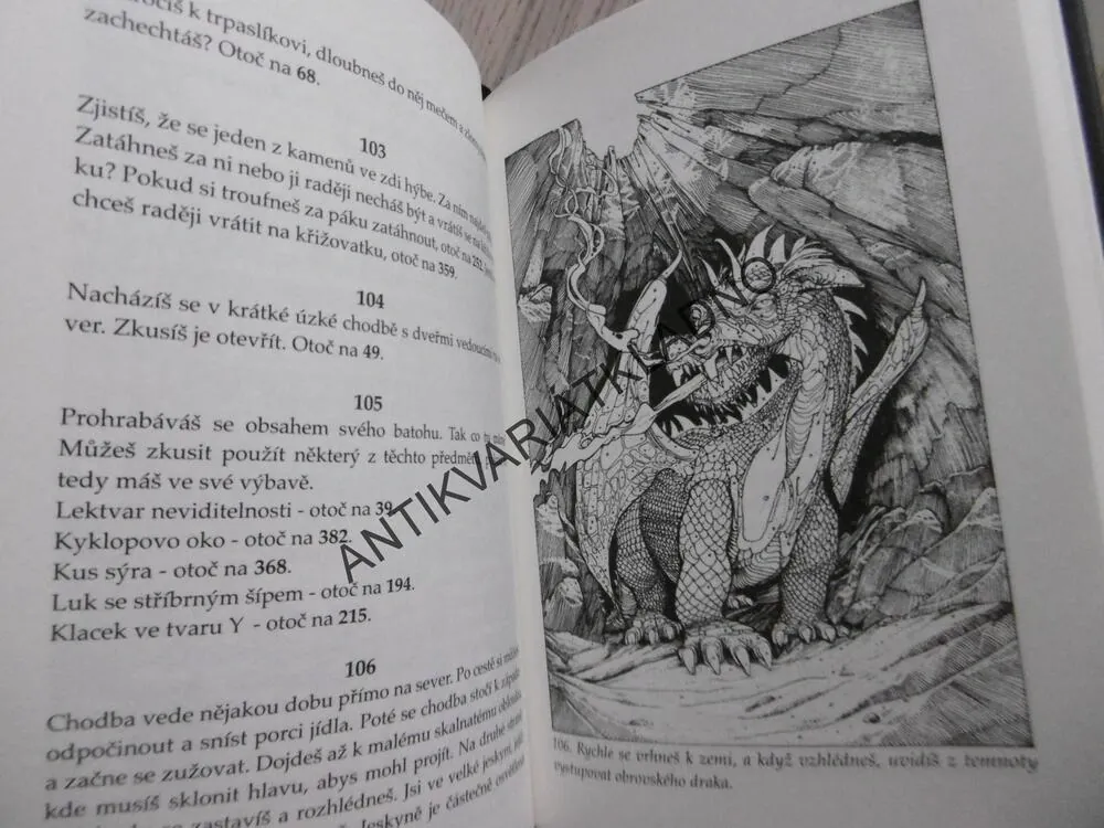 ČARODĚJ Z OHŇOVÉ HORY, STEVE JACKSONE, IAN LIVINGSTONE, **an