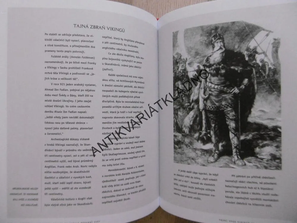 BARBAŘI, JAK JEJICH INVAZE OVLIVNILY MODERNÍ SVĚT, THOMAS J. CRAUGHWELL, **an