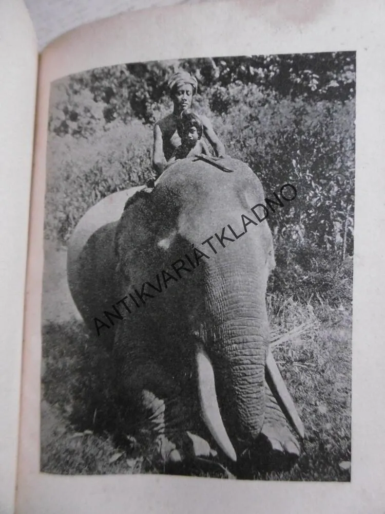POHÁDKY O HODNÝCH ZVÍŘÁTKÁCH, PAVEL SOLDÁN, 1939, **an