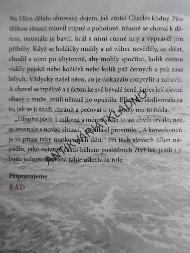 ROZBOUŘENÉ VODY, DANIELLE STEEL, **an