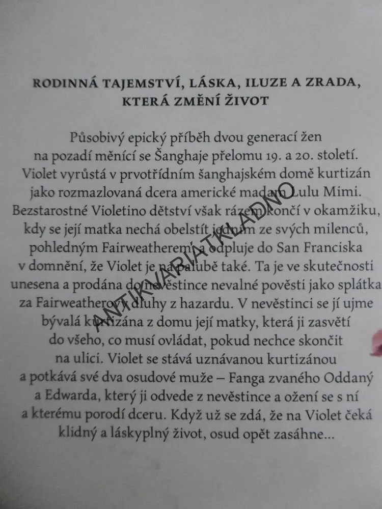 ÚDOLÍ ÚŽASU, AMY TAN, **an