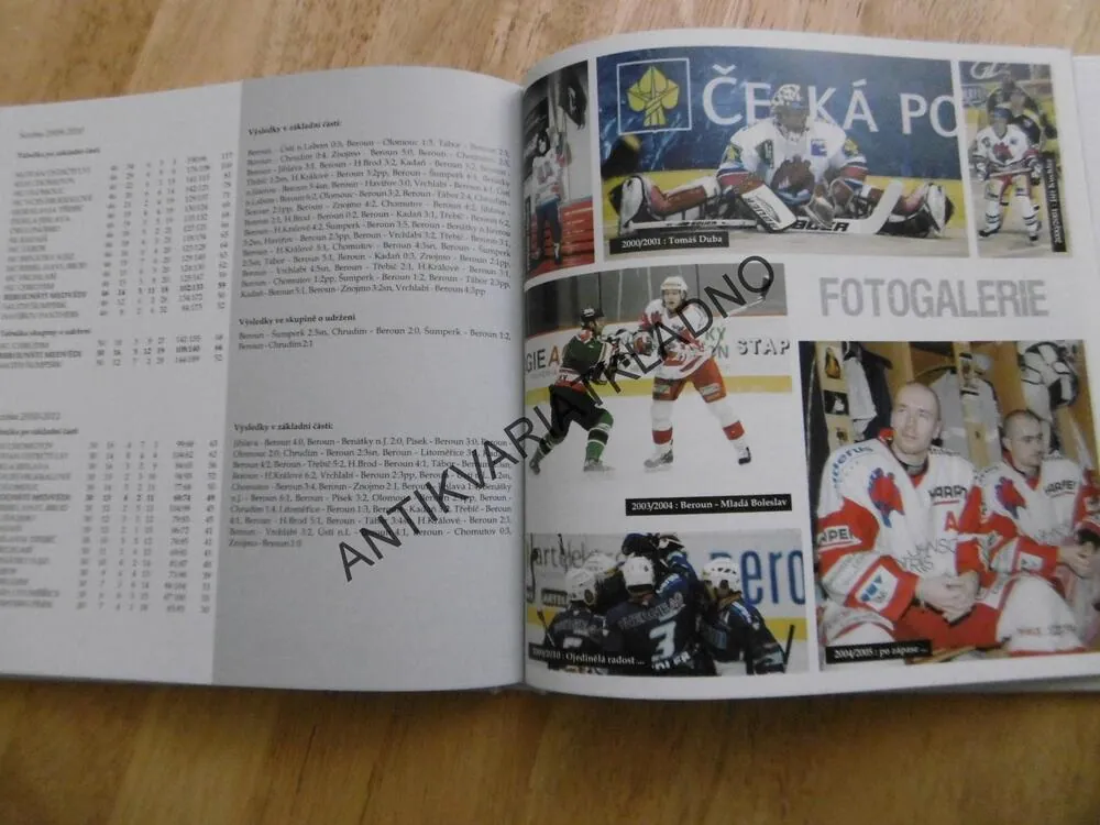 BEROUNŠTÍ MEDVĚDI, HISTORIE BEROUN HOKEJ, 2011