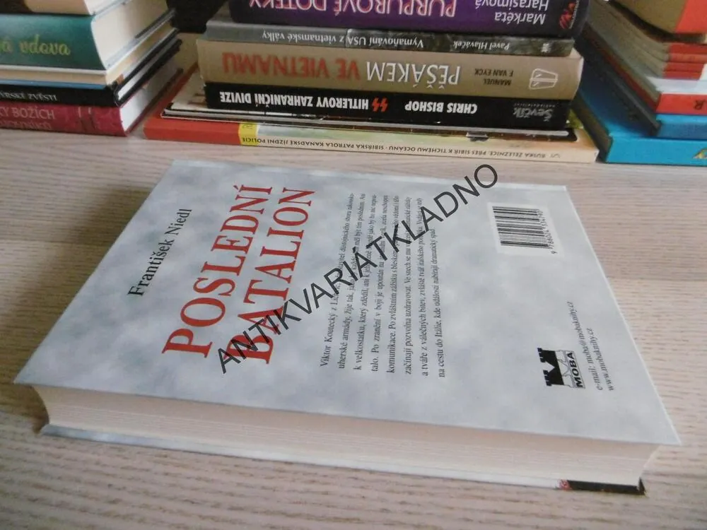 POSLEDNÍ BATALION, FRANTIŠEK NIEDL, **an