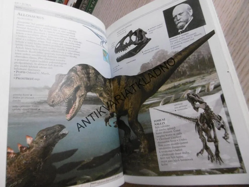 DINOSAUŘI A ŽIVOT V PRAVĚKU, HAZEL RICHARDSONOVÁ, **an