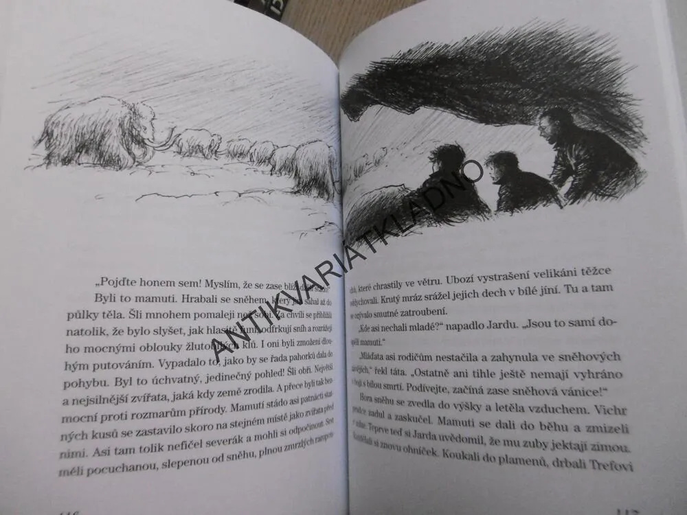 CESTA DO PRAVĚKU A ZASE ZPÁTKY, JITKA ŠKÁPÍKOVÁ, **an