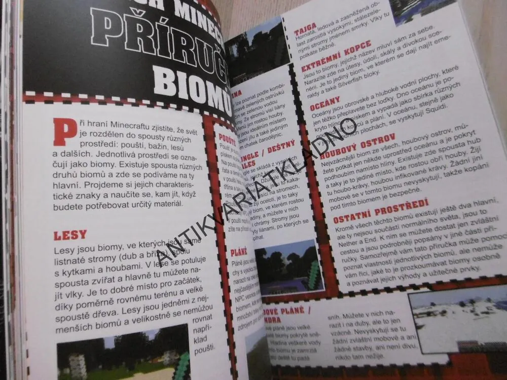 MINECRAFT, STAŇ SE MISTREM!, **an