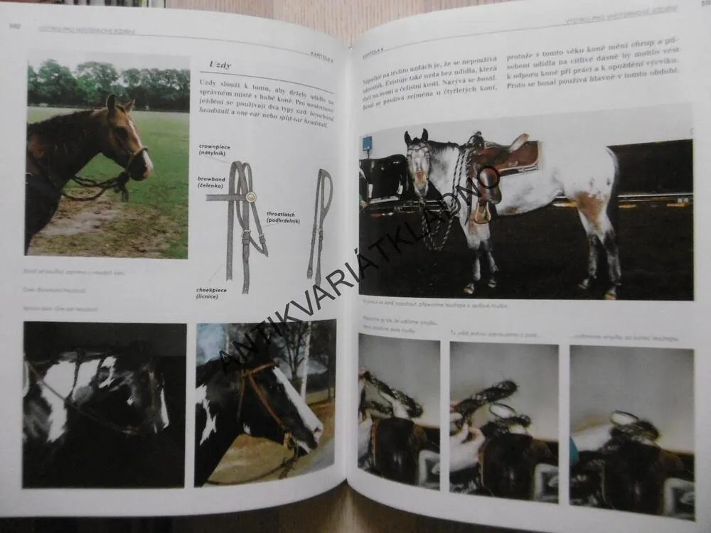WESTERNOVÉ JEŽDĚNÍ, JOSÉE HERMSEN, **an