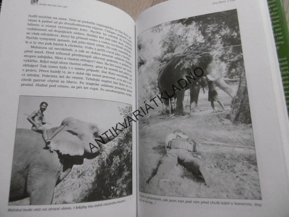 SLONI ŽIJÍ DO STA LET, MIROSLAV ZIKMUND, MIROSLAV NÁPLAVA, PETR HORKÝ, **an