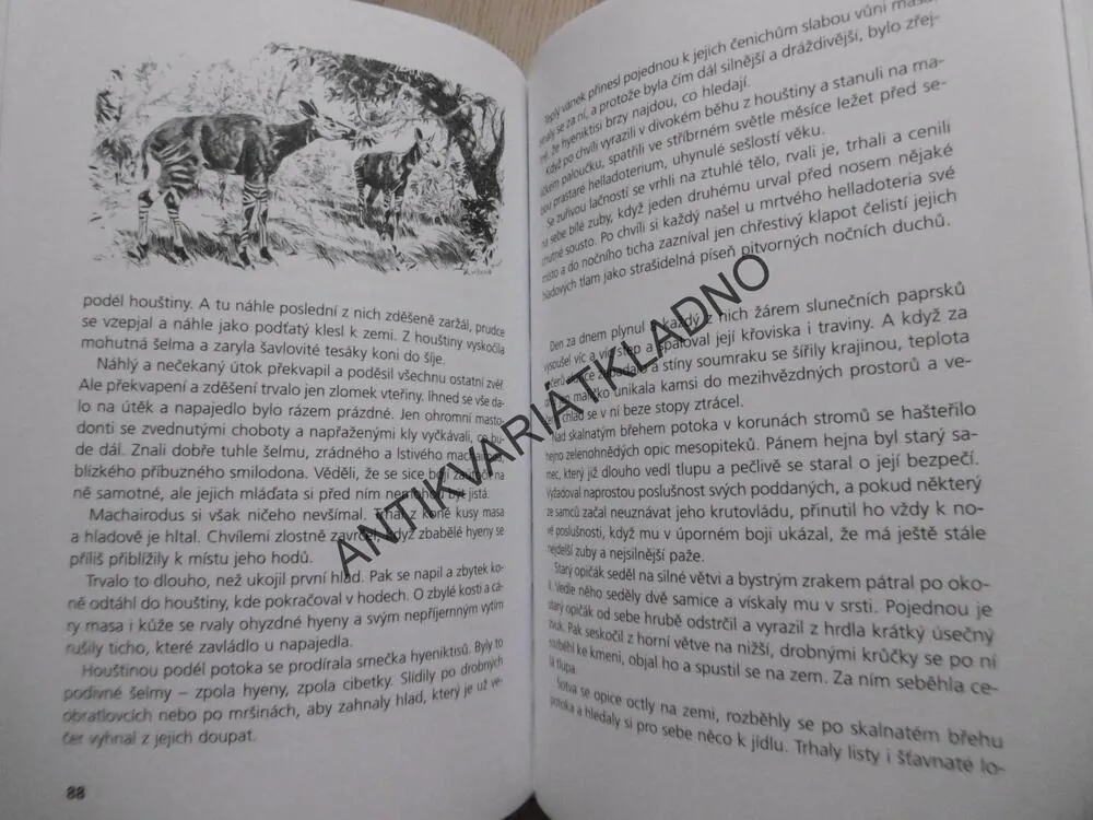 ZAVÁTÝ ŽIVOT, JOSEF AUGUSTA, **an