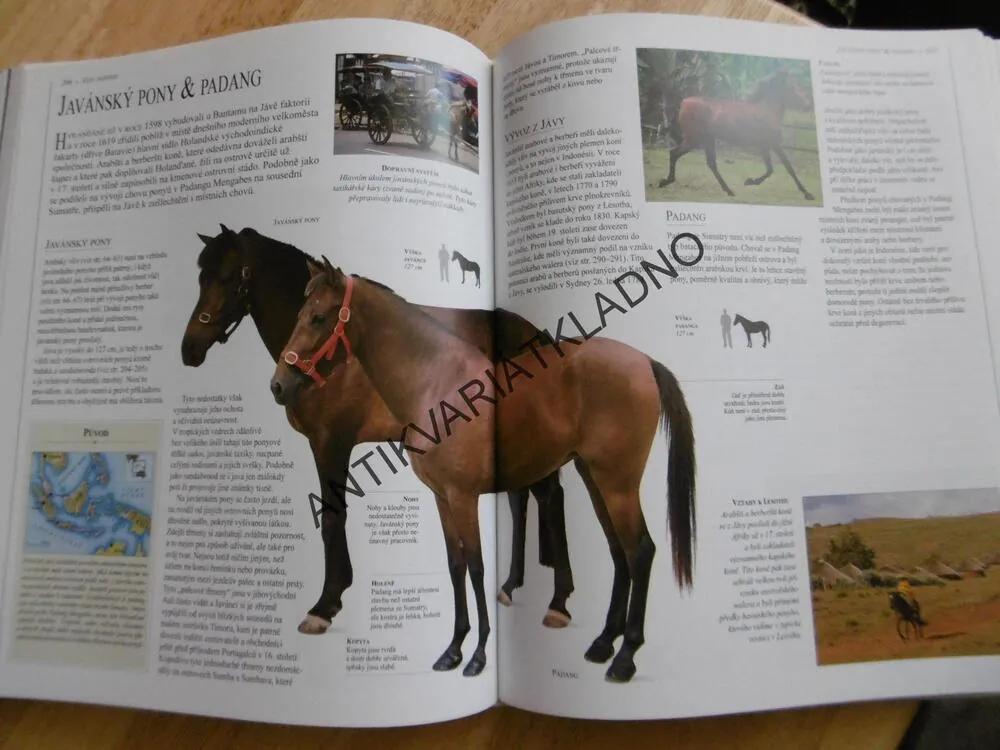 OBRAZOVÁ ENCYKLOPEDIE KONÍ, KŮŇ, JEZDECTVÍ