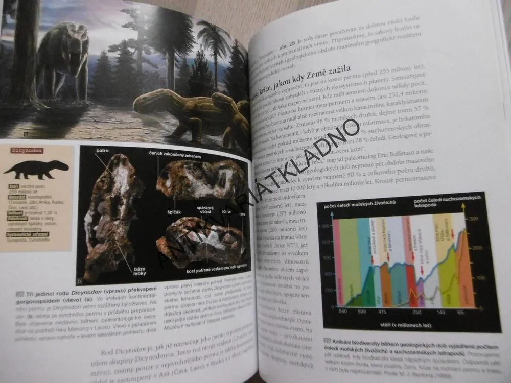 ZEMĚ PŘED DINOSAURY, SÉBASTIEN STEYER, **an