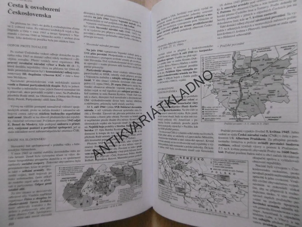 DĚJEPIS NA DLANI, HELENA KOHOUTKOVÁ, MARTINA KOMSOVÁ, **an