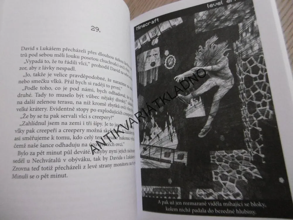 ZAJATCI MINECRAFTU, PETR HETEŠA, **an