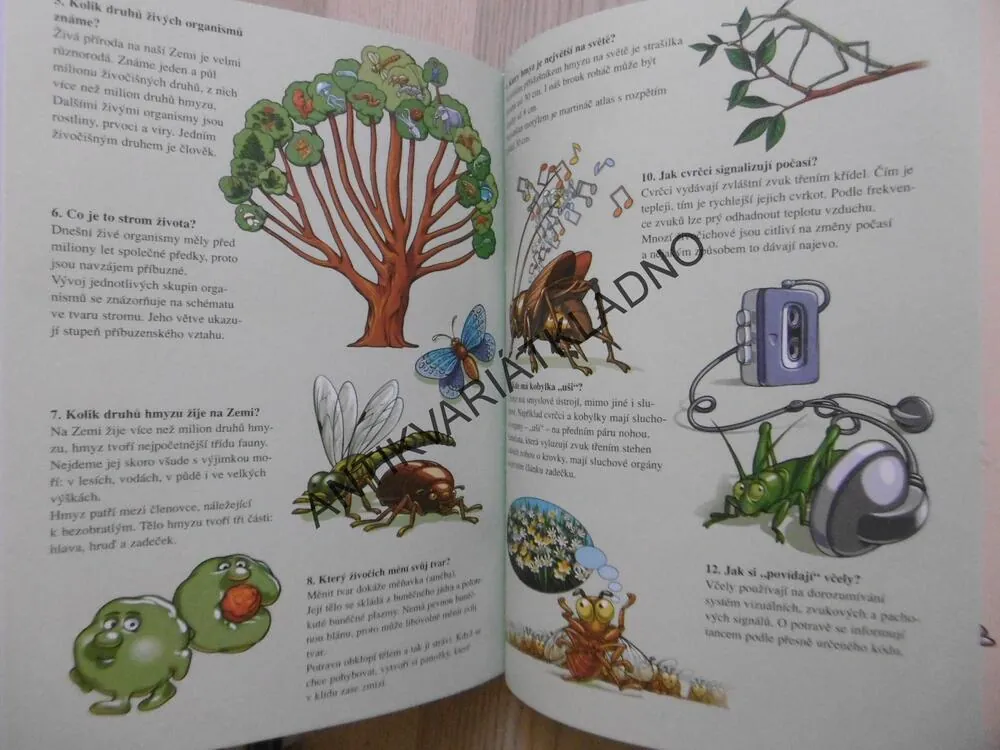ZNÁŠ TO?, VELKÁ KNIHA OTÁZEK A ODPOVĚDÍ PRO MALÉ ŠKOLENÍ, **an