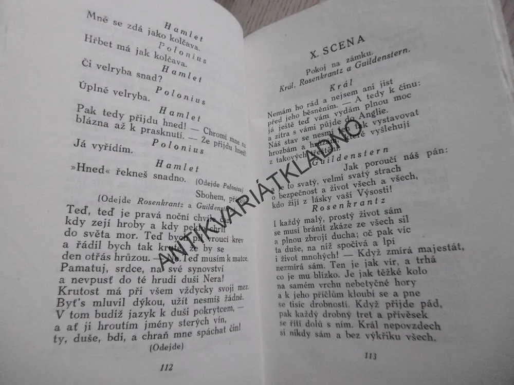 HAMLET, WILLIAM SHAKESPEARE, **an