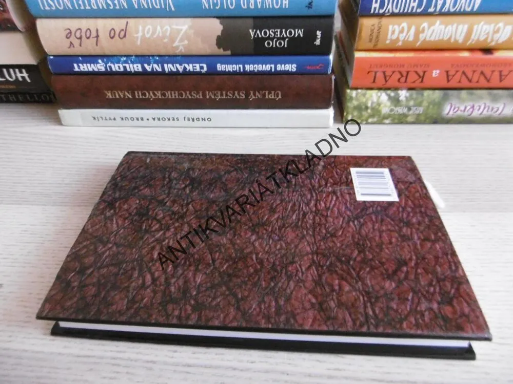 HEDVÁBNÁ POMSTA, VICTORIA HOLTOVÁ, **an