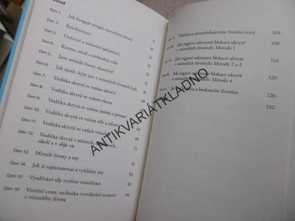 21 DNÍ K POCHOPENÍ VAŠICH MINULÝCH ŽIVOTŮ, DENISE LINN, **an
