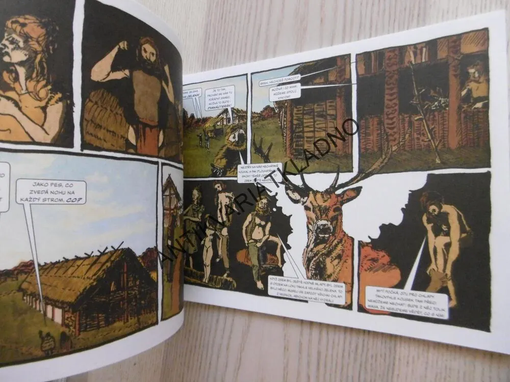 DEN V ŽIVOTĚ NEOLITICKÉ ŽENY, VZDĚLÁVACÍ KOMIKS, VERONIKA MIKEŠOVÁ PUHAČOVÁ, MICHAL PUHAČ