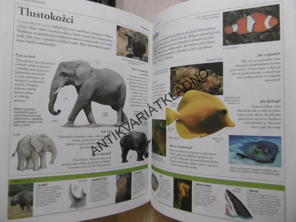 ENCYKLOPEDIE NEJEN PRO ŠKOLÁKY, VŠEOBECNÝ PŘEHLED, **an