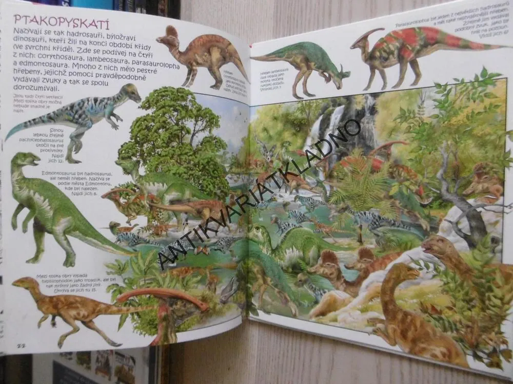 HLEDEJ A OBJEVUJ, DINOSAUŘI, **an