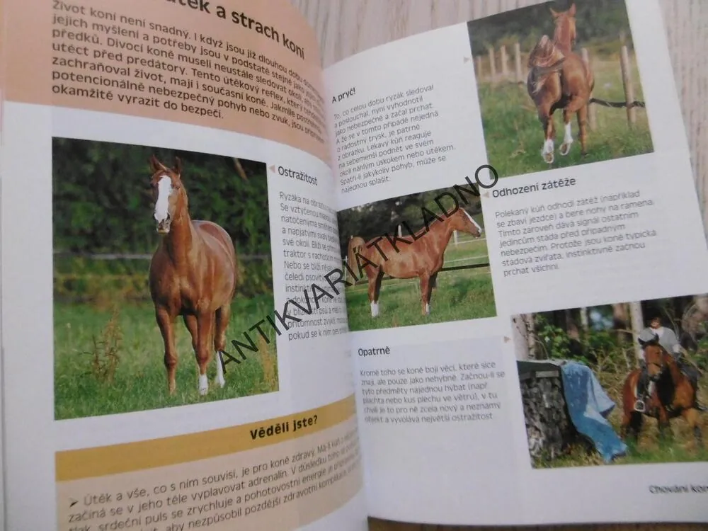 CO SI MYSLÍ KŮŇ, ÚPLNÝ POHLED NA CHOVÁNÍ KONĚ, BINDEROVÁ, **an