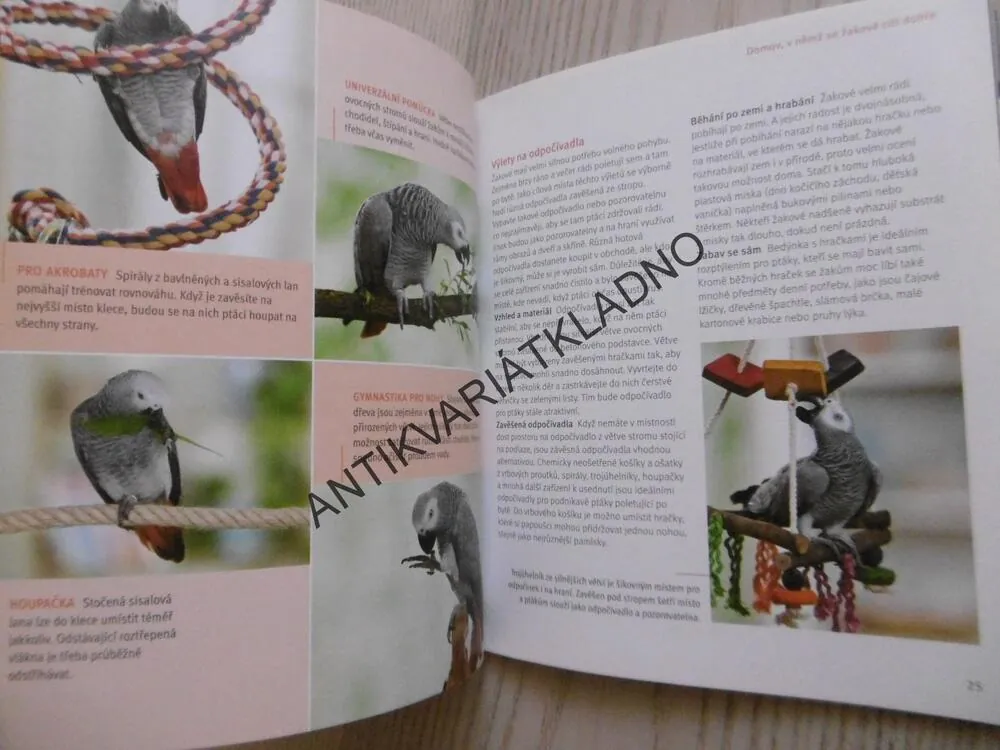 ŽAKO PAPOUŠEK ŠEDÝ, H. NIEMANN, , **an