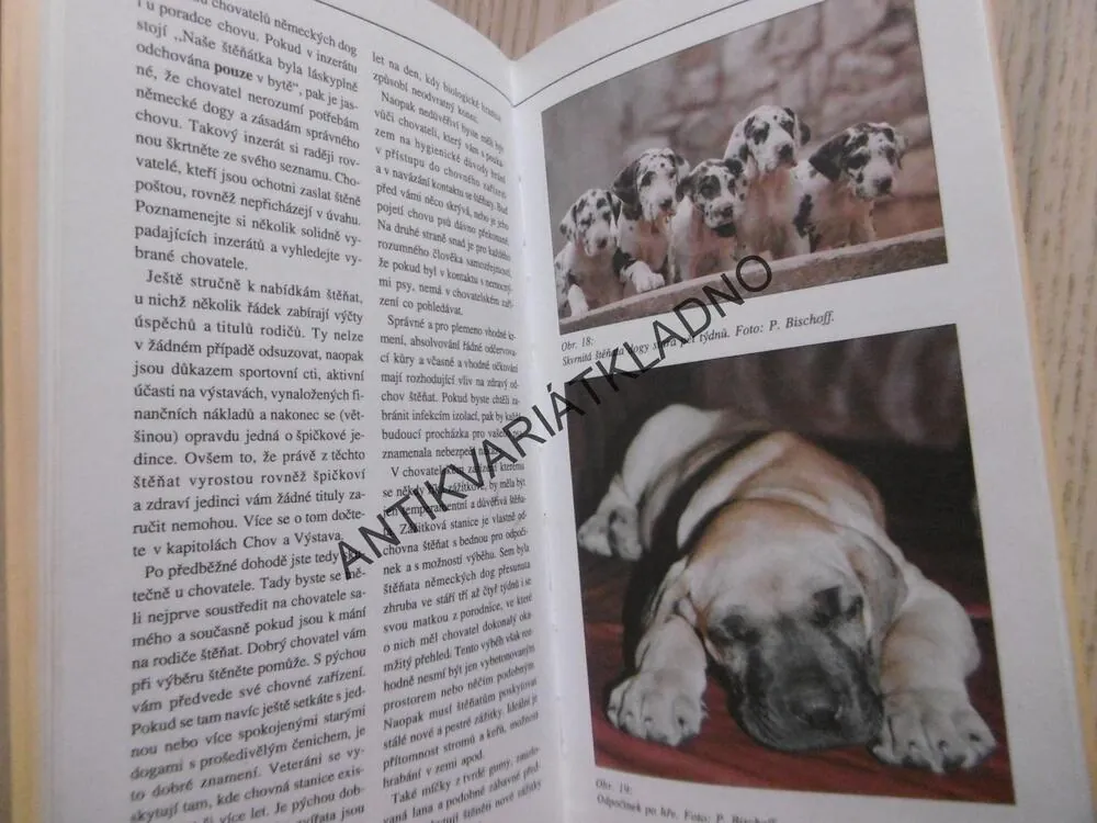 NĚMECKÁ DOGA, F. KRAUTWURST, CO BYSTE O NÍ MĚLI VĚDĚT, **an