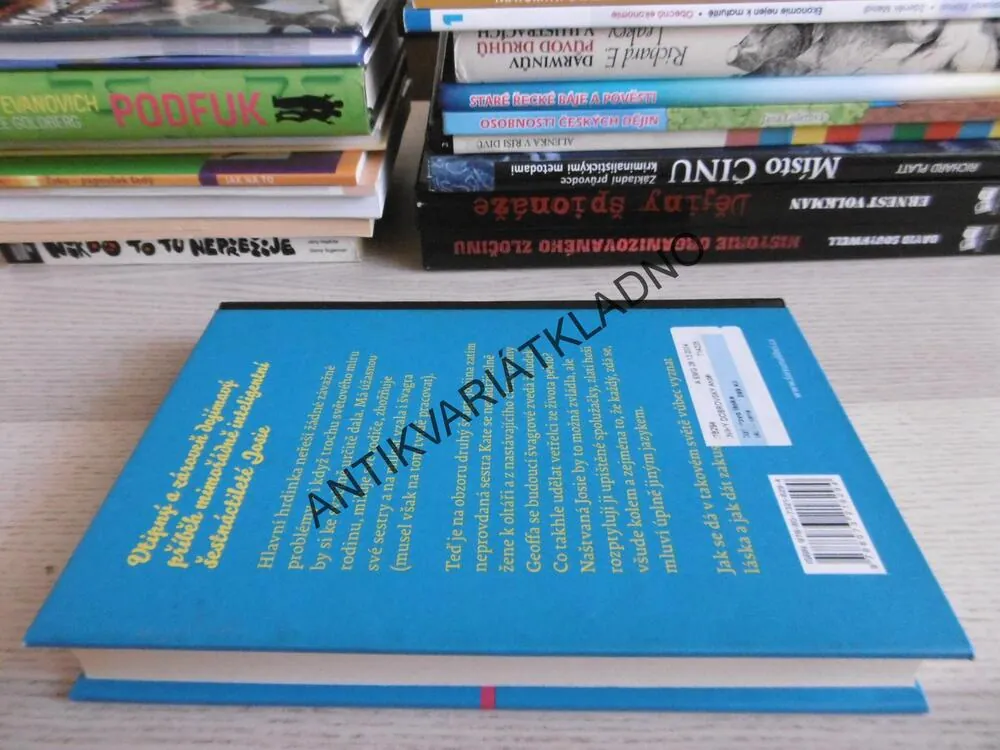 CIZÍ SLOVO LÁSKA, ERIN MCCAHANOVÁ, **an