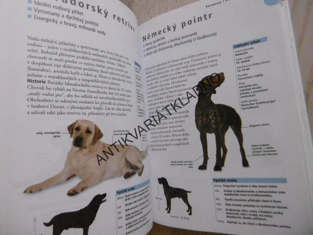 PES VĚRNÝ PŘÍTEL, PŘÍRUČKA PRO CHOVATELE, BRUCE FOGLE,  **an