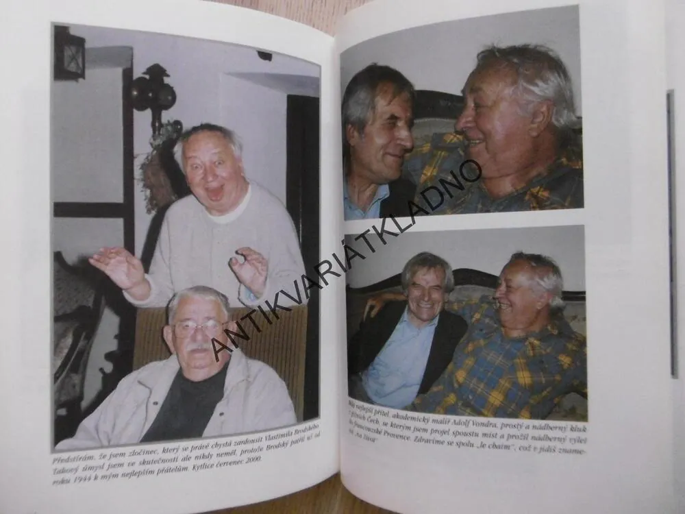 VTEŘINY ŽIVOTA, MIROSLAV HORNÍČEK, **an