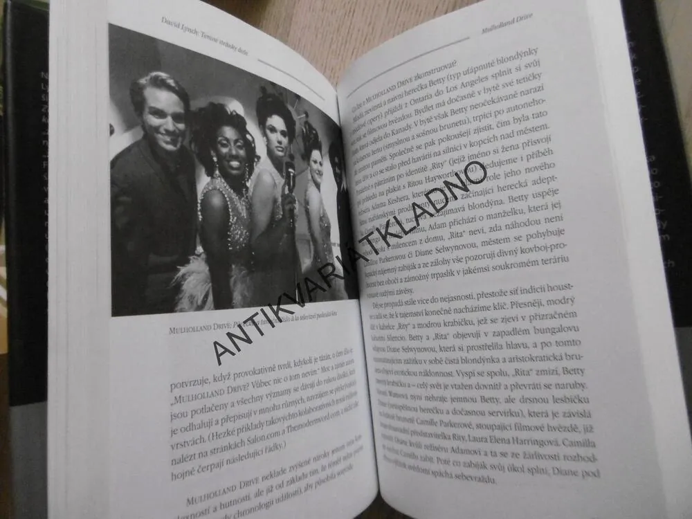TEMNÉ STRÁNKY DUŠE, LYNCH, ROBERT FISCHER, **an