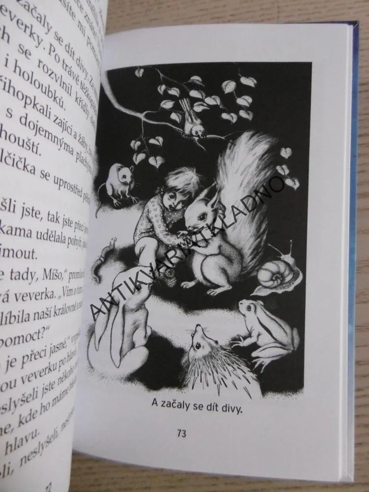 STŘÍBRNÝ PAPRSEK, VLADO RÍŠA, **an
