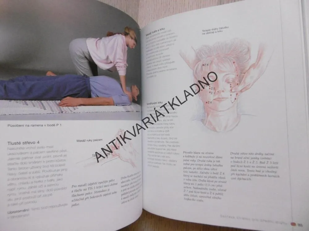 NOVÁ KNIHA SHIATSU, PAUL LUNDBERG, **an