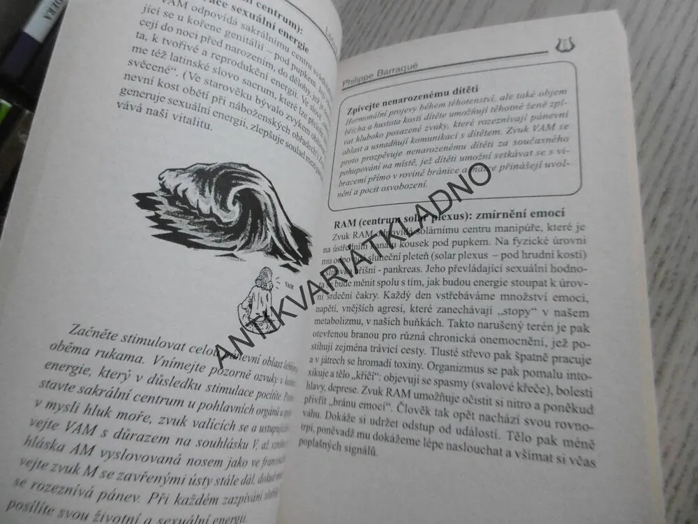 LÉČIVÁ SÍLA HLASU, PHILIPPE BARRAQUÉ, **an