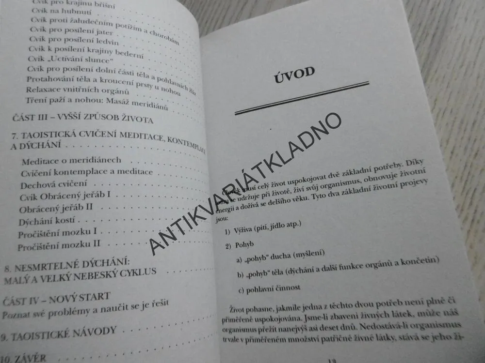 TAOISMUS PRO ZDRAVÍ, STEPHEN T. CHANG, **an