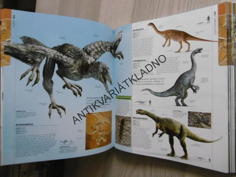 PREHISTORIE, OBRAZOVÝ PRŮVODCE VÝVOJEM ŽIVOTA NA ZEMI, **an