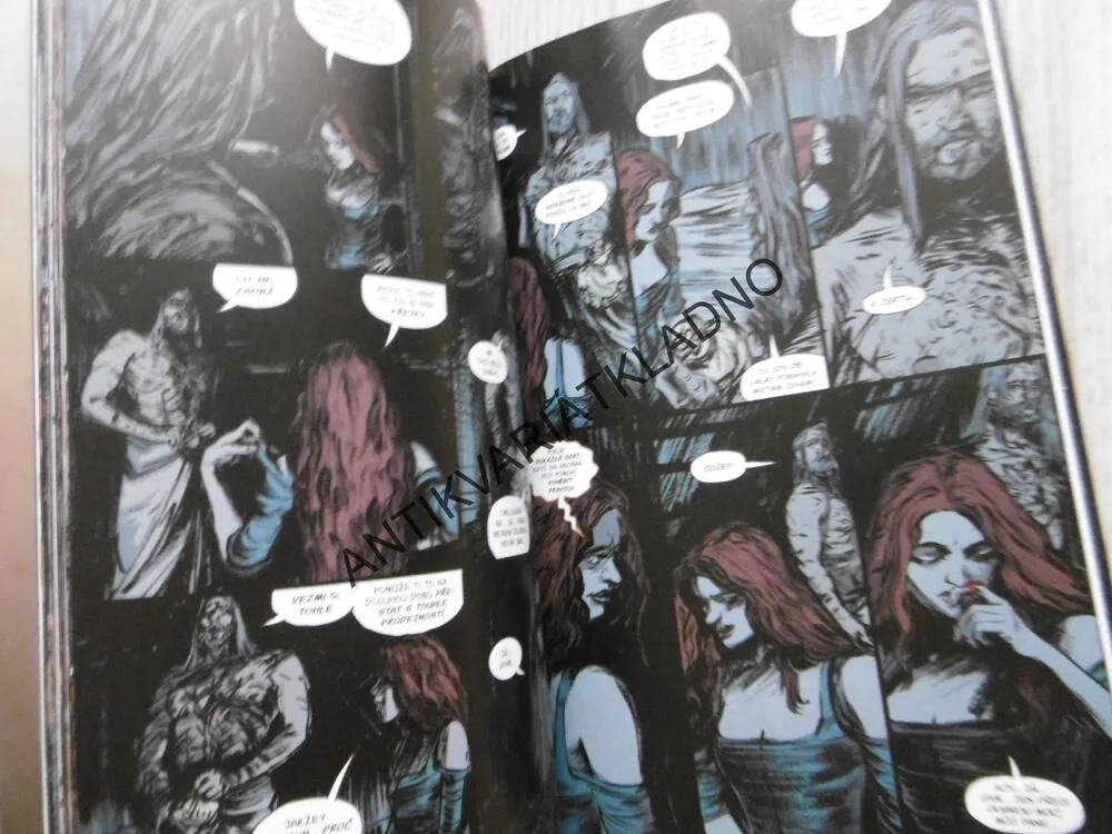 ZAKLÍNAČ, NÁŘEK ČARODĚJNICE, KOMIKS CREW DARK HORSE 6., **an