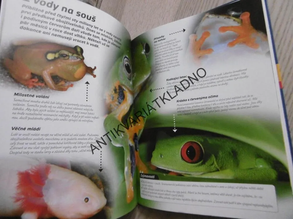 ZVÍŘATA SVĚTA, FAKTA A ZAJÍMAVOSTI, MICHAEL FOKT, **an