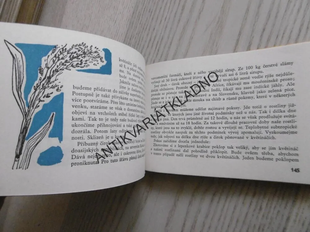 OKO 3 - KOUZLA S ROSTLINAMI, KAREL PATOČKA, ŠTOLFA,**an
