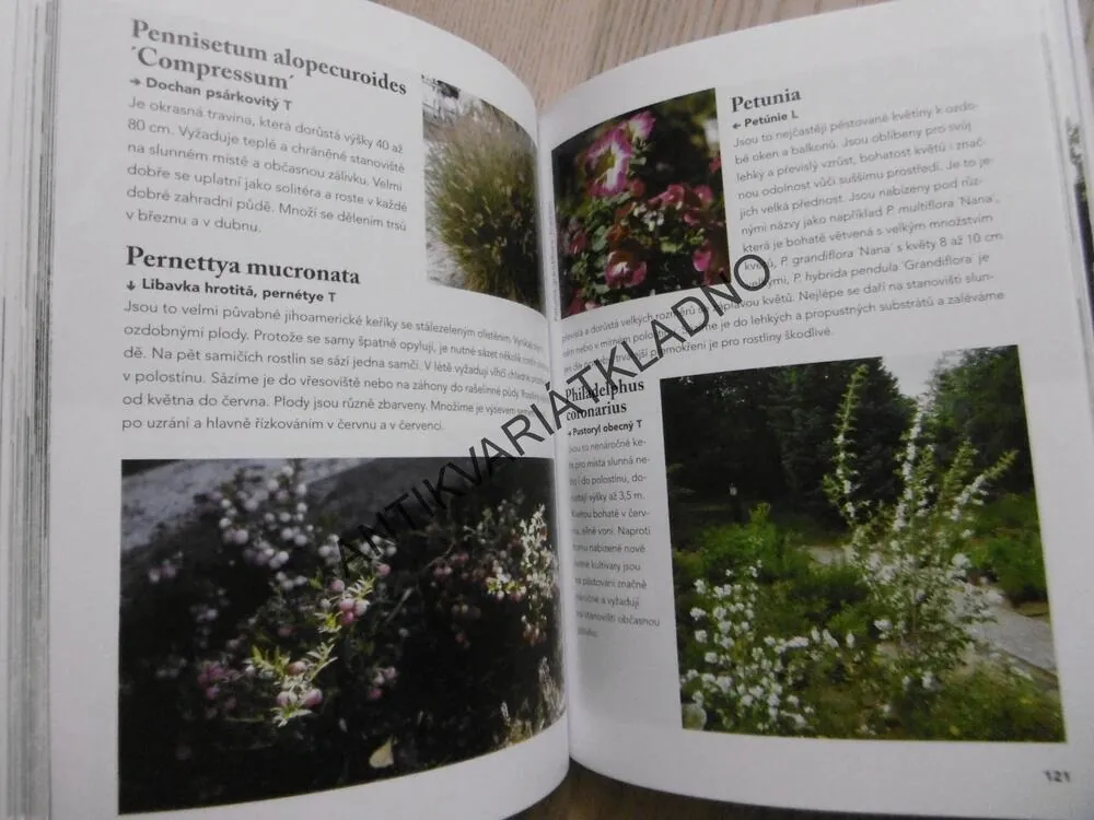 KVĚTINY A DŘEVINY PRO RADOST, **an