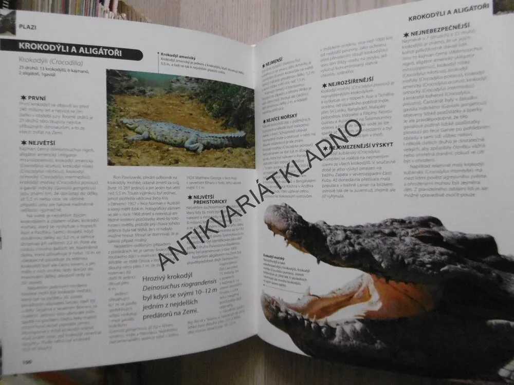 REKORDY ZE SVĚTA ZVÍŘAT, MARK CARWARDINE, **an