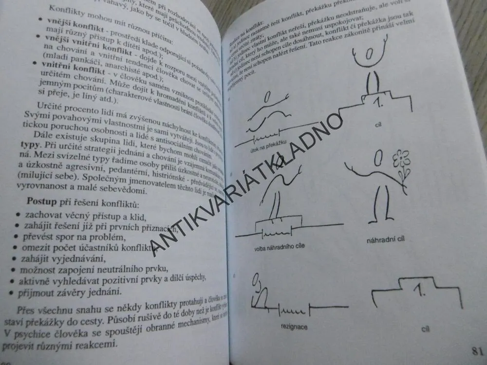PSYCHOLOGIE PRO TEBE, LEA PAULÍNOVÁ, **an