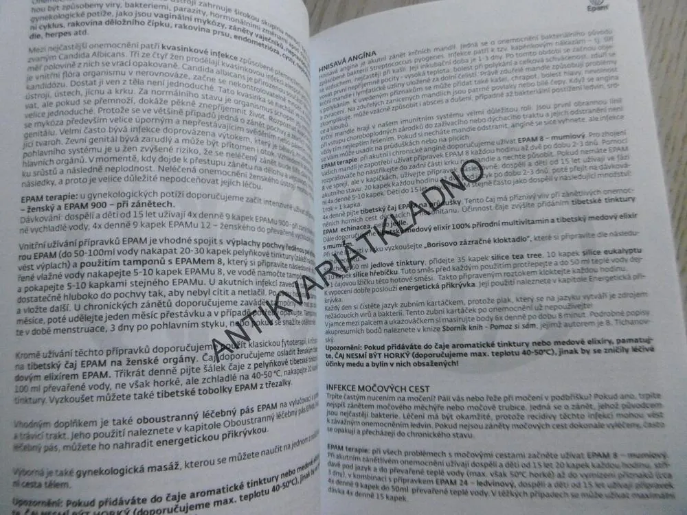 EPAM TERAPIE, ROZPIS KURZŮ BORISE TICHANOVSKÉHO 2013