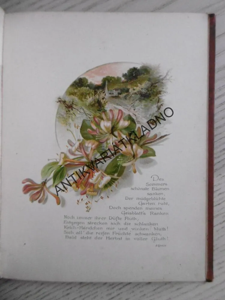 FLORA, LIEDER UND WEISEN, AMÉLIE GODIN, NĚMECKY, LITOGRAFIE,