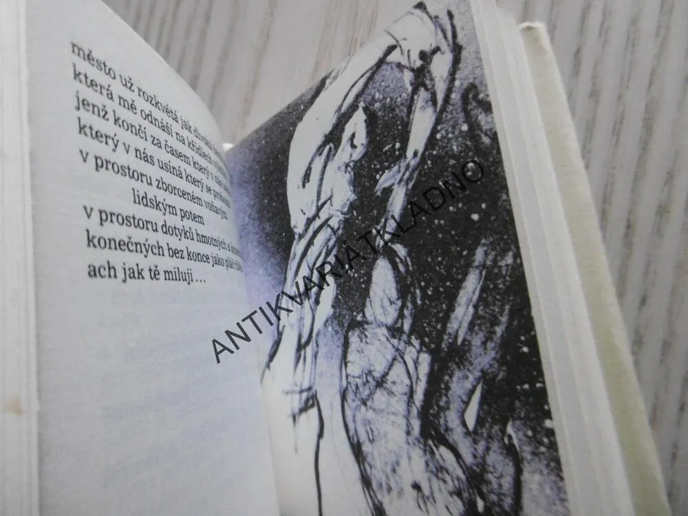 A JÁ TĚ MILUJI, JOSEF ŠIMON, PAVEL ROUČKA, MINI POEZIE