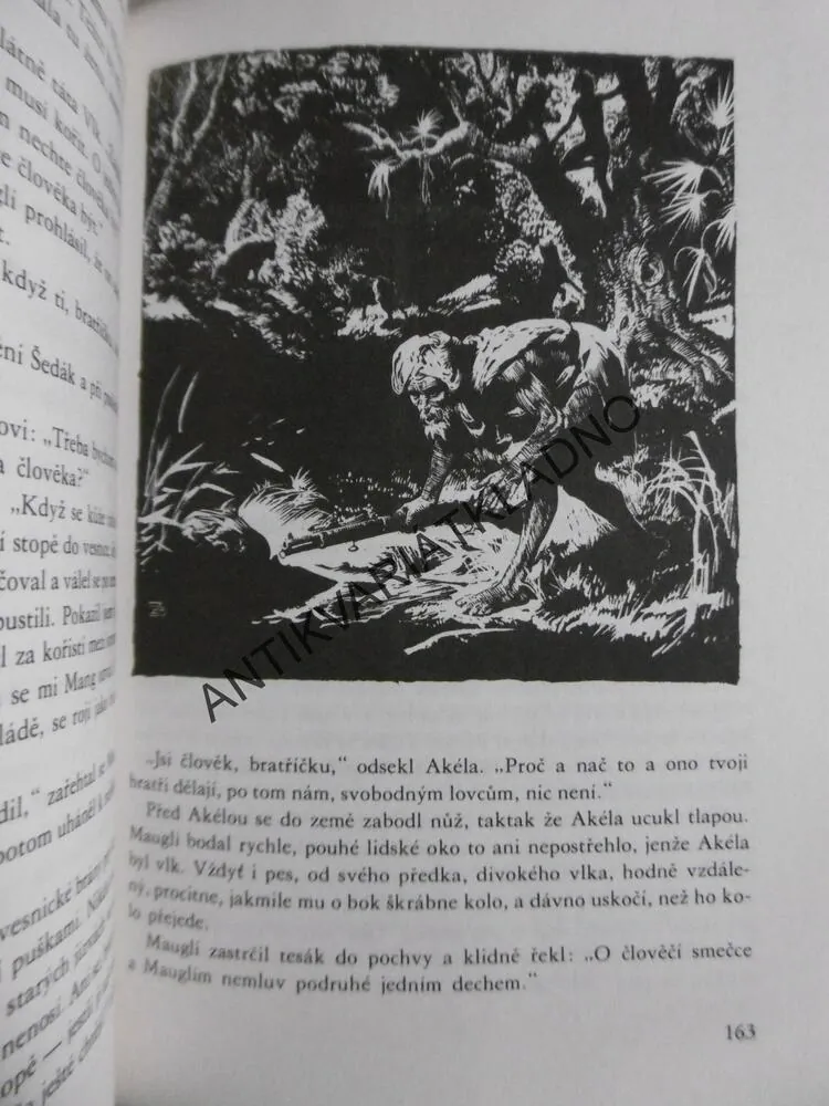 KNIHY DŽUNGLÍ, RUDYARD KIPLING, JAN HORA, **an