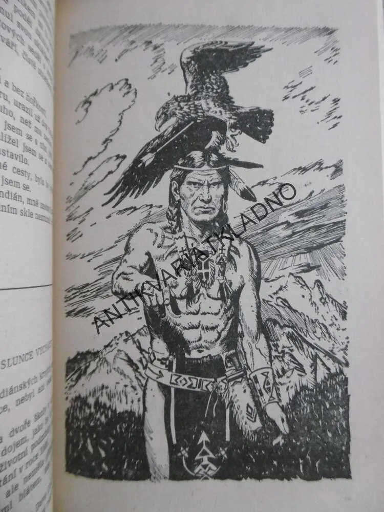 KONEC MEDVĚDÍ SEZÓNY, JOSEF NOVOTNÝ, **an