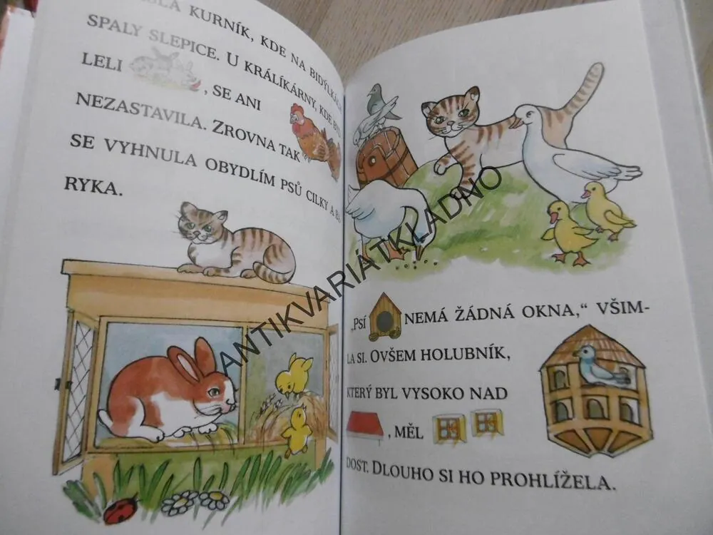 PRVNÍ ČTENÍ S VELKÝMI PÍSMENY, GABRIELA KOPCOVÁ, **an