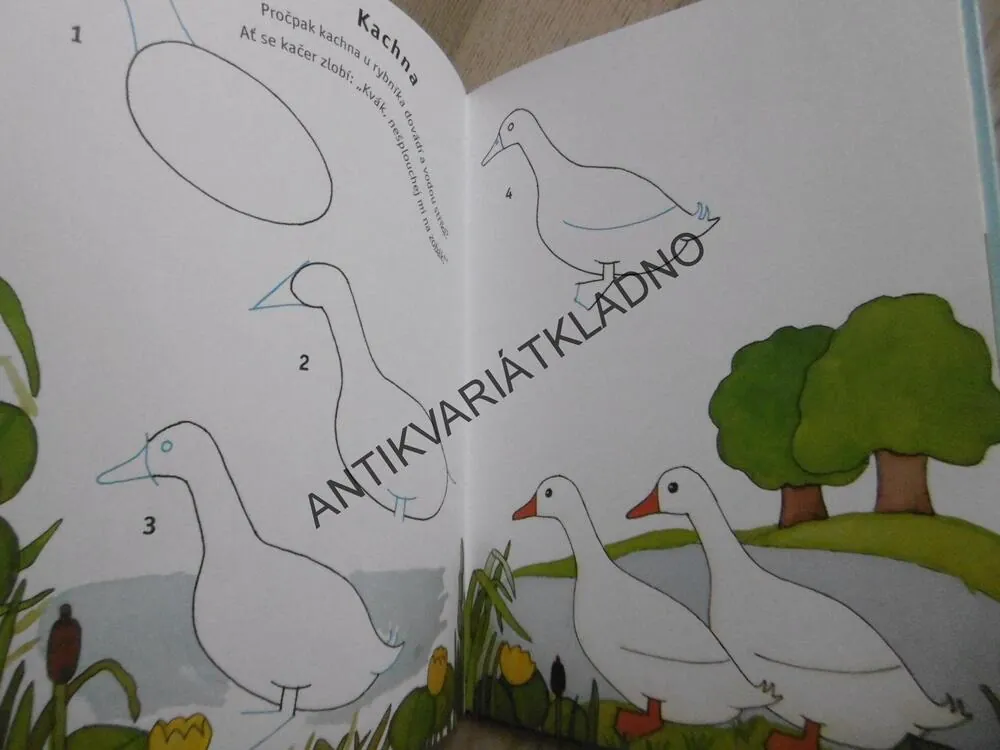 KRESLÍME ZVÍŘÁTKA KOLEM NÁS, KROK ZA KROKEM,