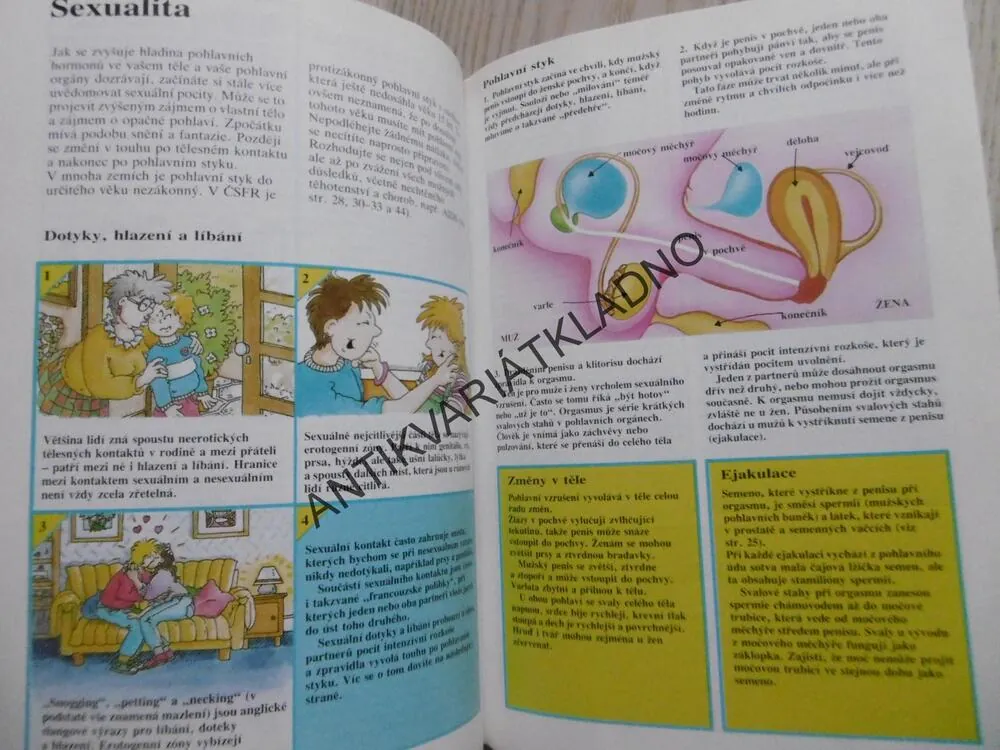DOSPÍVÁNÍ A SEX, PUBERTA, TĚLESNÉ ZMĚNY A SEX,, **an